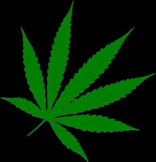 🌿 emoji Ашот и ХиМик Telegram sticker 2 of 111