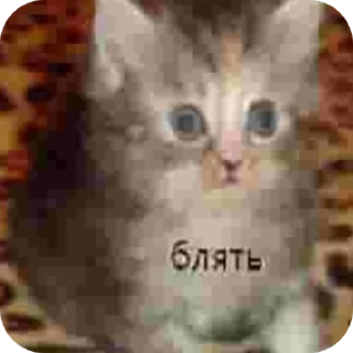 Sticker from Да кто такой ваш @sxxferr ?