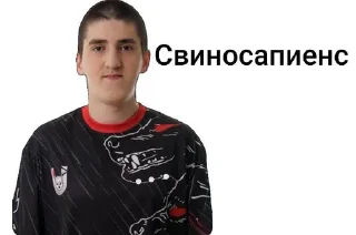 🐒 emoji Больше тут >https://t.me/Ordenchenga Telegram sticker 18 of 46