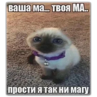 😢 emoji котты @dilonshy @chyatichek Telegram sticker 7 of 87