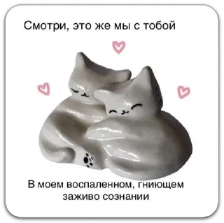 ✨ emoji котты @dilonshy @chyatichek Telegram sticker 16 of 87