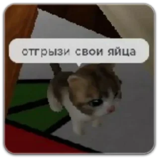 🙏 emoji котты @dilonshy @chyatichek Telegram sticker 21 of 87