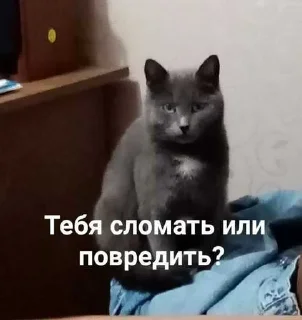 😭 emoji котейки. ➡️ @Ctikerubot Telegram sticker 13 of 102