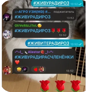 Sticker from Сапожка @mogilkaBot