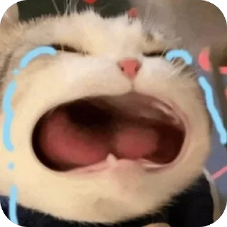 🫥 emoji MeowWw Telegram sticker 18 of 115