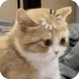 🫥 emoji MeowWw Telegram sticker 15 of 115