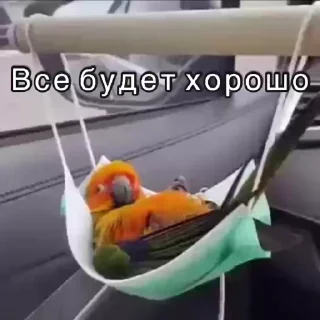 👌 emoji Не заходи сюда👉🏻 @stikiin Telegram sticker 13 of 50