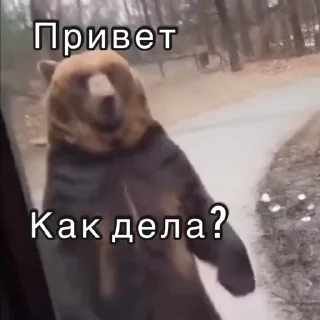 ✋ emoji Не заходи сюда👉🏻 @stikiin Telegram sticker 17 of 50