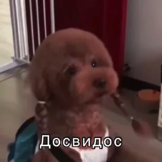 👋 emoji Не заходи сюда👉🏻 @stikiin Telegram sticker 10 of 50