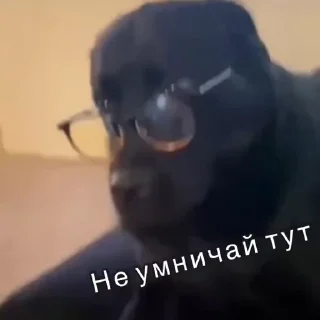 🤓 emoji Не заходи сюда👉🏻 @stikiin Telegram sticker 15 of 50