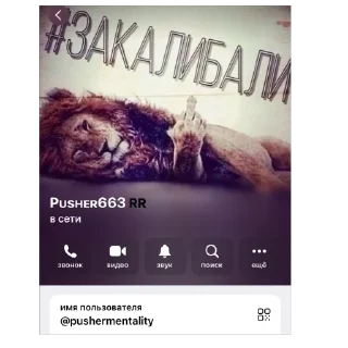 Sticker from целевая @data663|@pushermentality