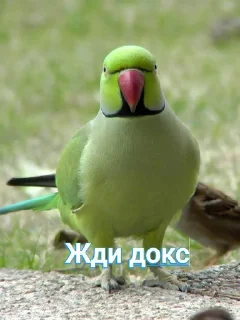 🔥 emoji Набор эррора ➡️ @ERROR_THE_IDIOT Telegram sticker 2 of 41