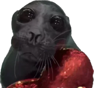 ❤ emoji dre1yko twitch.tv/dre1yko @fStikBot Telegram sticker 3 of 36