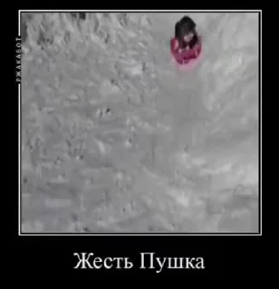 🌟 emoji Буль буль Карасики Telegram sticker 8 of 49