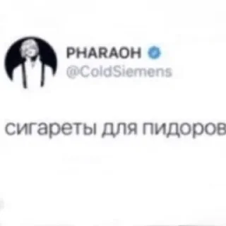 🤭 emoji стефан как смысл жизни Telegram sticker 18 of 47