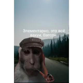 🐵 emoji Больше стиков тут: @stikery4 Telegram sticker 10 of 63