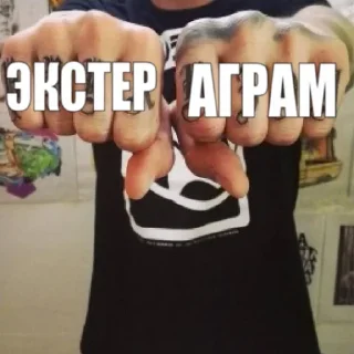 👊 emoji ЭКСТЕРАГРАМ • @exteraGram Telegram sticker 12 of 85