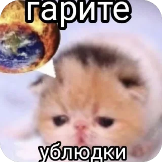🫥 emoji Уро котеки ➡️ @Ctikerubot Telegram sticker 23 of 41