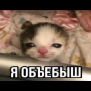 😎 emoji Пак создан в @moyi_stikery_bot Telegram sticker 9 of 28
