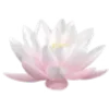🪷 emoji @babyekka1 | xd ➡️ @Ctikerubot Telegram sticker 9 of 87