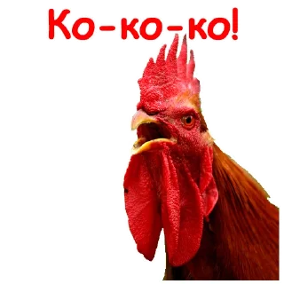 🐔 emoji Либеральный разговорник Telegram sticker 21 of 80