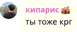 🧑‍🦲 emoji Разговорник аиту pack by @QuotLyBot Telegram sticker 15 of 120