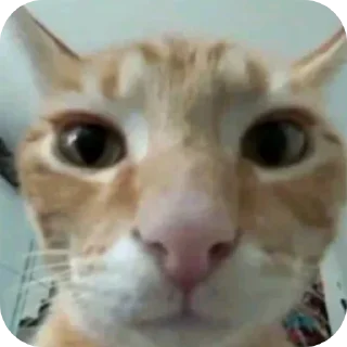 😀 emoji создатель: @qwpsm Telegram sticker 16 of 34