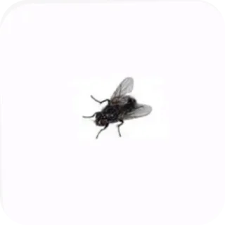 😀 emoji создатель: @qwpsm Telegram sticker 15 of 34