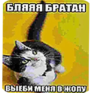 🖼 emoji Док Telegram sticker 18 of 65