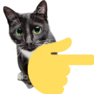 👉 emoji Больше стиков тут: @stikery4 Telegram sticker 22 of 25