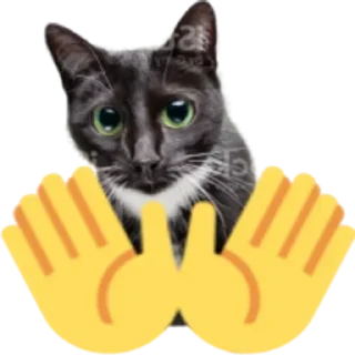 🤚 emoji Больше стиков тут: @stikery4 Telegram sticker 5 of 25