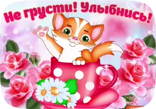 😿 emoji Больше стиков тут: @stikery4 Telegram sticker 18 of 20