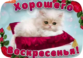😽 emoji Больше стиков тут: @stikery4 Telegram sticker 14 of 20