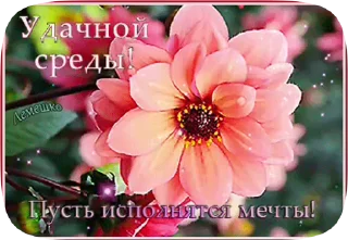 🌸 emoji Больше стиков тут: @stikery4 Telegram sticker 4 of 20