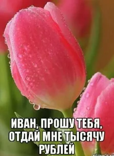 😅 emoji тяжелый люкс аленки ➡️ @Ctikerubot Telegram sticker 3 of 106