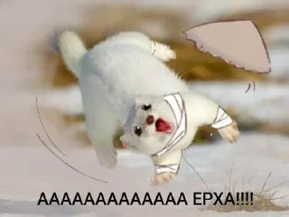 🥰 emoji Китайщина Telegram sticker 12 of 120