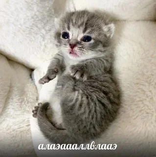 💗 emoji Больше стиков тут: @stikery4 Telegram sticker 16 of 40