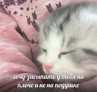 💗 emoji Больше стиков тут: @stikery4 Telegram sticker 4 of 40