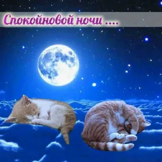 😳 emoji пиздарики ➡️ @Ctikerubot Telegram sticker 16 of 73