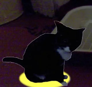 🐈 emoji Больше стиков тут: @stikery4 Telegram sticker 17 of 49