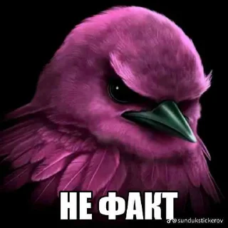 😳 emoji ЕЕЕЩКЕРЕ ➡️ @Ctikerubot Telegram sticker 11 of 43