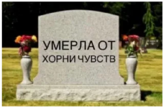 ⚰ emoji Больше стиков тут: @stikery4 Telegram sticker 18 of 47