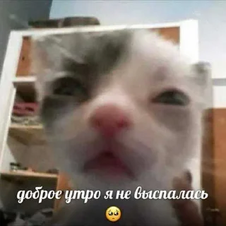 😱 emoji хагиваги01 ➡️ @Ctikerubot Telegram sticker 2 of 120