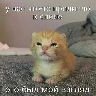 😅 emoji хагиваги01 ➡️ @Ctikerubot Telegram sticker 20 of 120