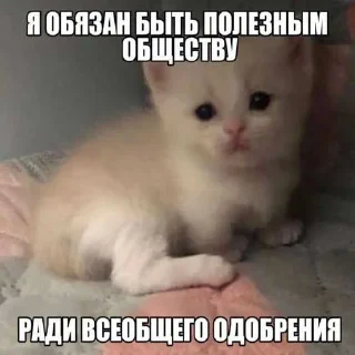 🥹 emoji хагиваги01 ➡️ @Ctikerubot Telegram sticker 19 of 120