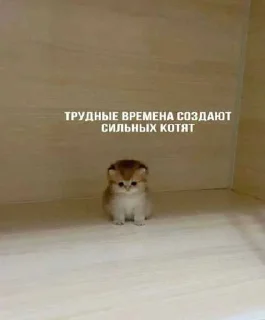 😍 emoji хагиваги01 ➡️ @Ctikerubot Telegram sticker 15 of 120