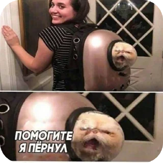 💇 emoji Мемы аааааа Telegram sticker 5 of 14