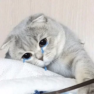 ☹ emoji Роффломем — @stckrRobot Telegram sticker 4 of 69