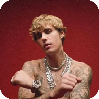 🥵 emoji @T_a_nk ДжастинБебрик Telegram sticker 13 of 120