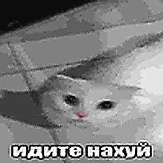 🌟 emoji Шалаш факела pack by @QuotLyBot Telegram sticker 24 of 120